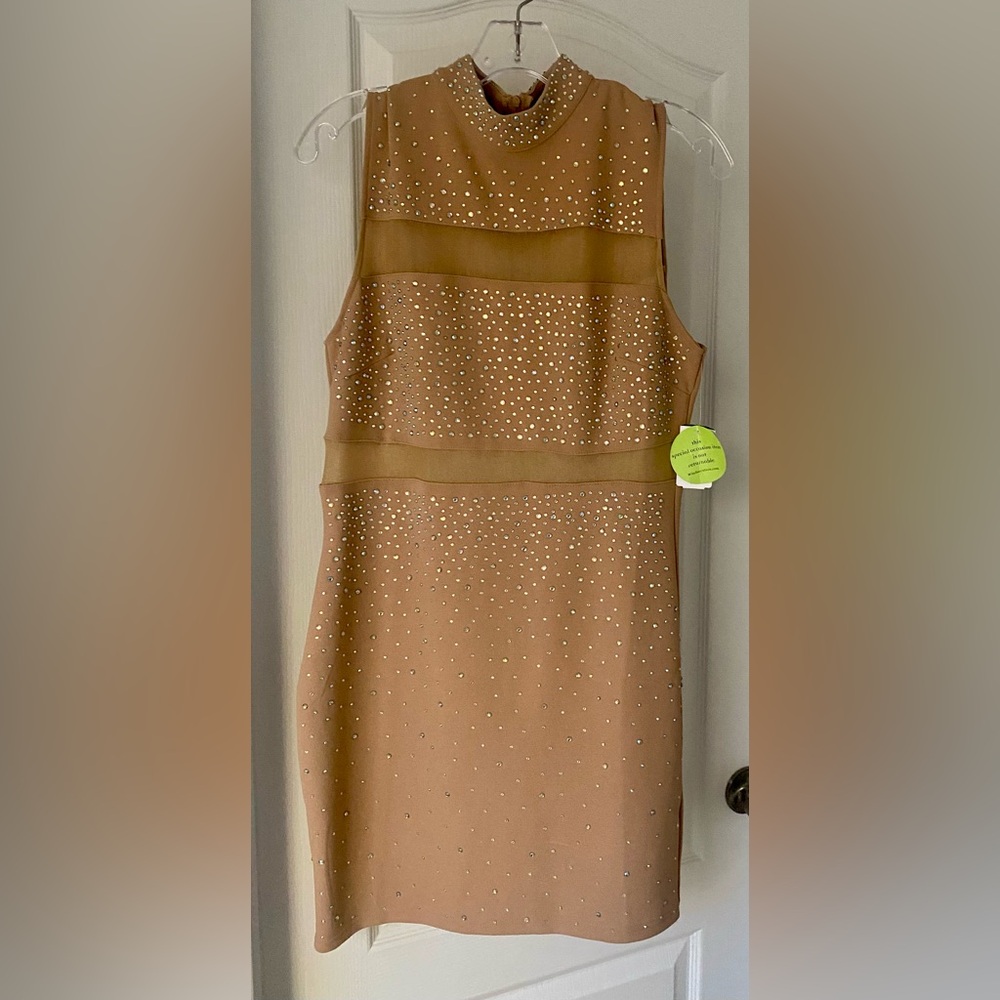 NWT windsor studded dress